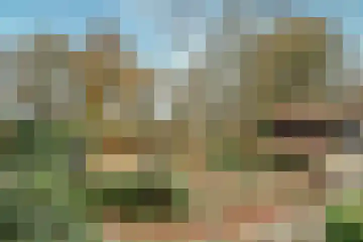 Hazeldonkseweg 5 Liessel thumbnail 30