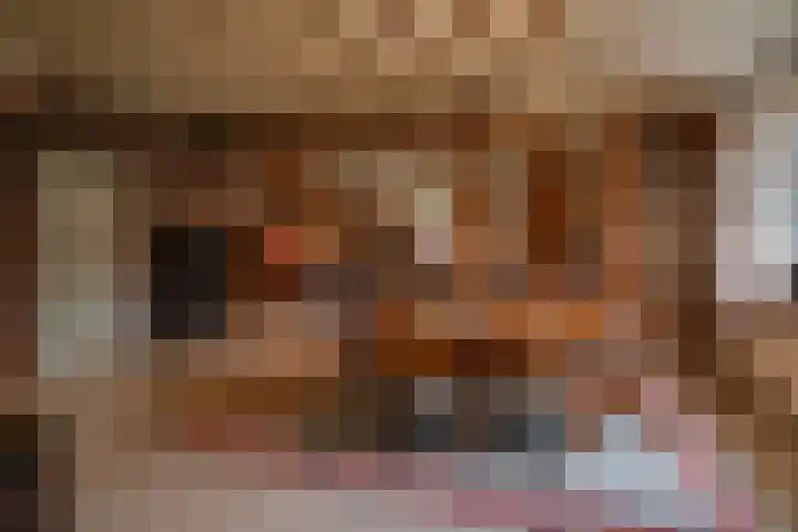 Hazeldonkseweg 5 Liessel thumbnail 32