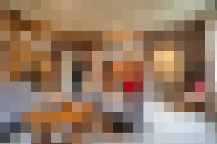 Hazeldonkseweg 5 Liessel thumbnail 36