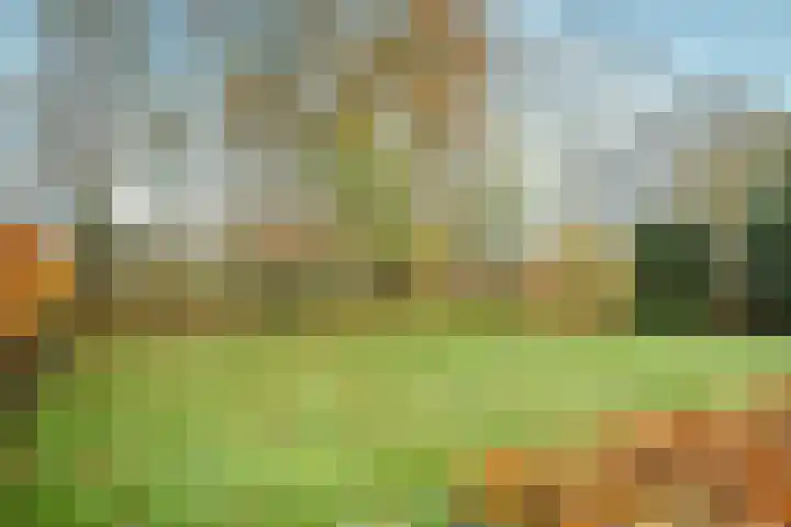 Hazeldonkseweg 5 Liessel thumbnail 4