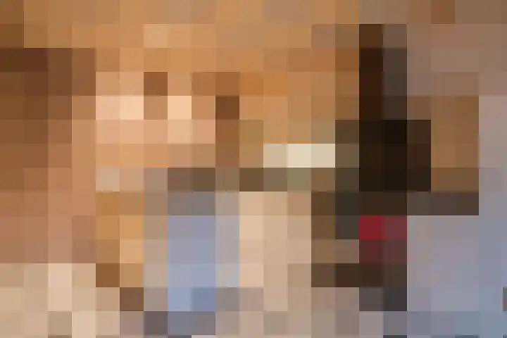 Hazeldonkseweg 5 Liessel thumbnail 40