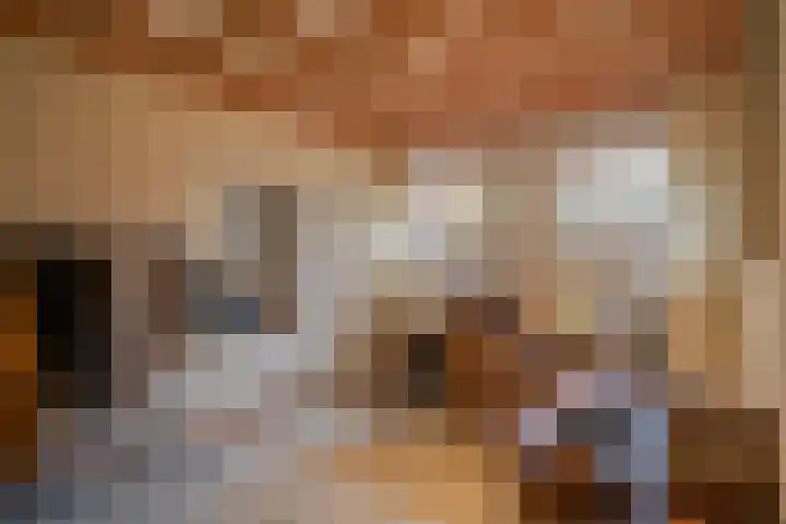 Hazeldonkseweg 5 Liessel thumbnail 44