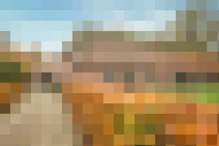 Hazeldonkseweg 5 Liessel thumbnail 5