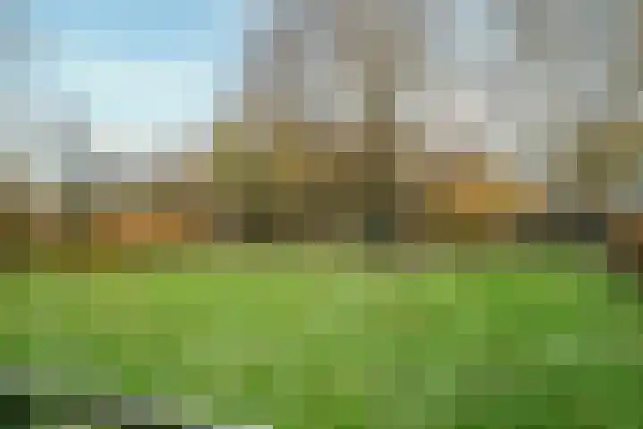 Hazeldonkseweg 5 Liessel thumbnail 6