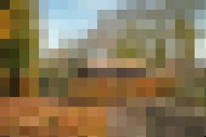 Hazeldonkseweg 5 Liessel thumbnail 8