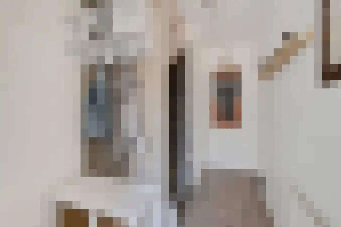 Hazeleger 12 Etten-Leur thumbnail 11