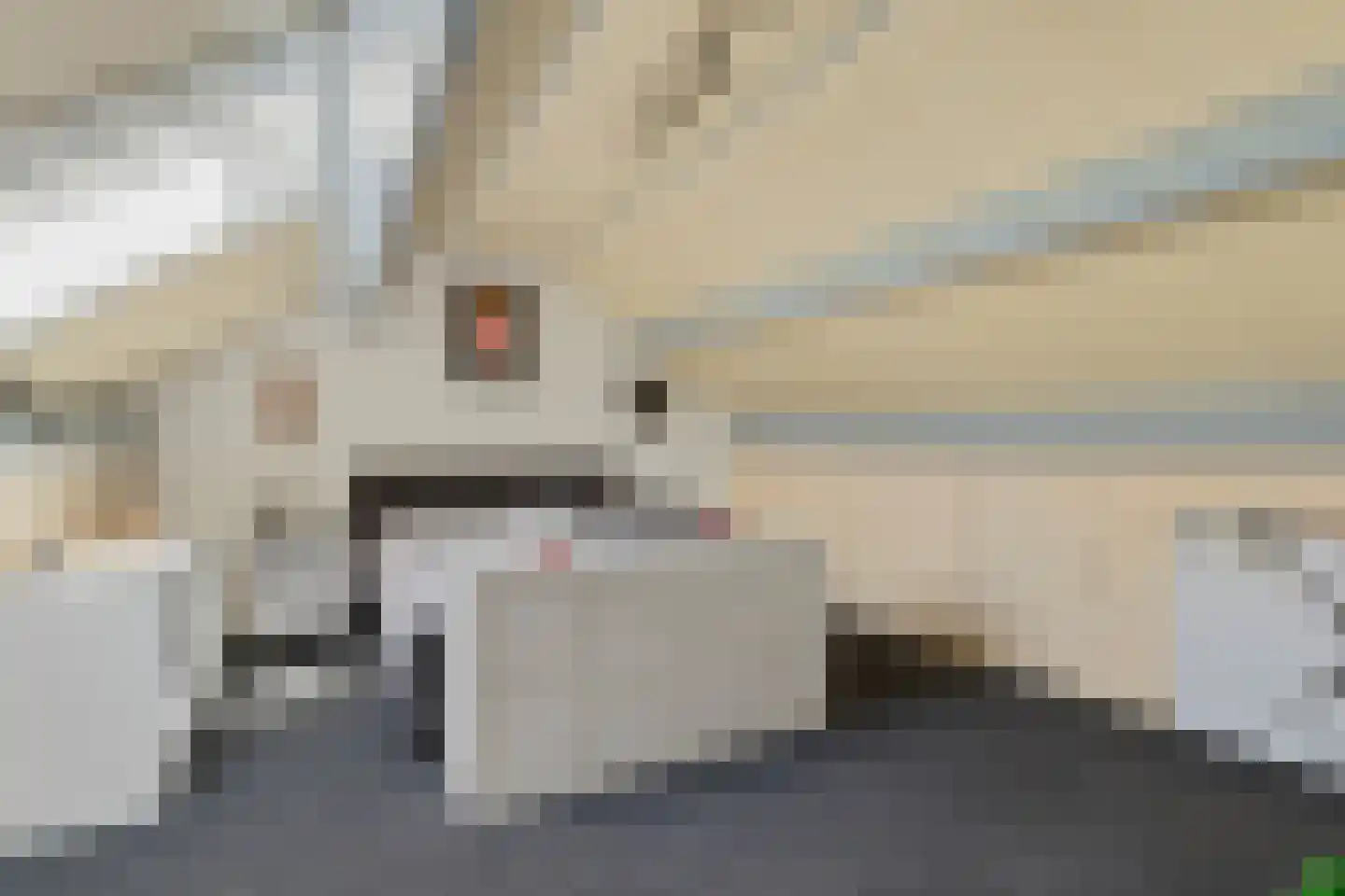 Hazeleger 12 Etten-Leur thumbnail 36