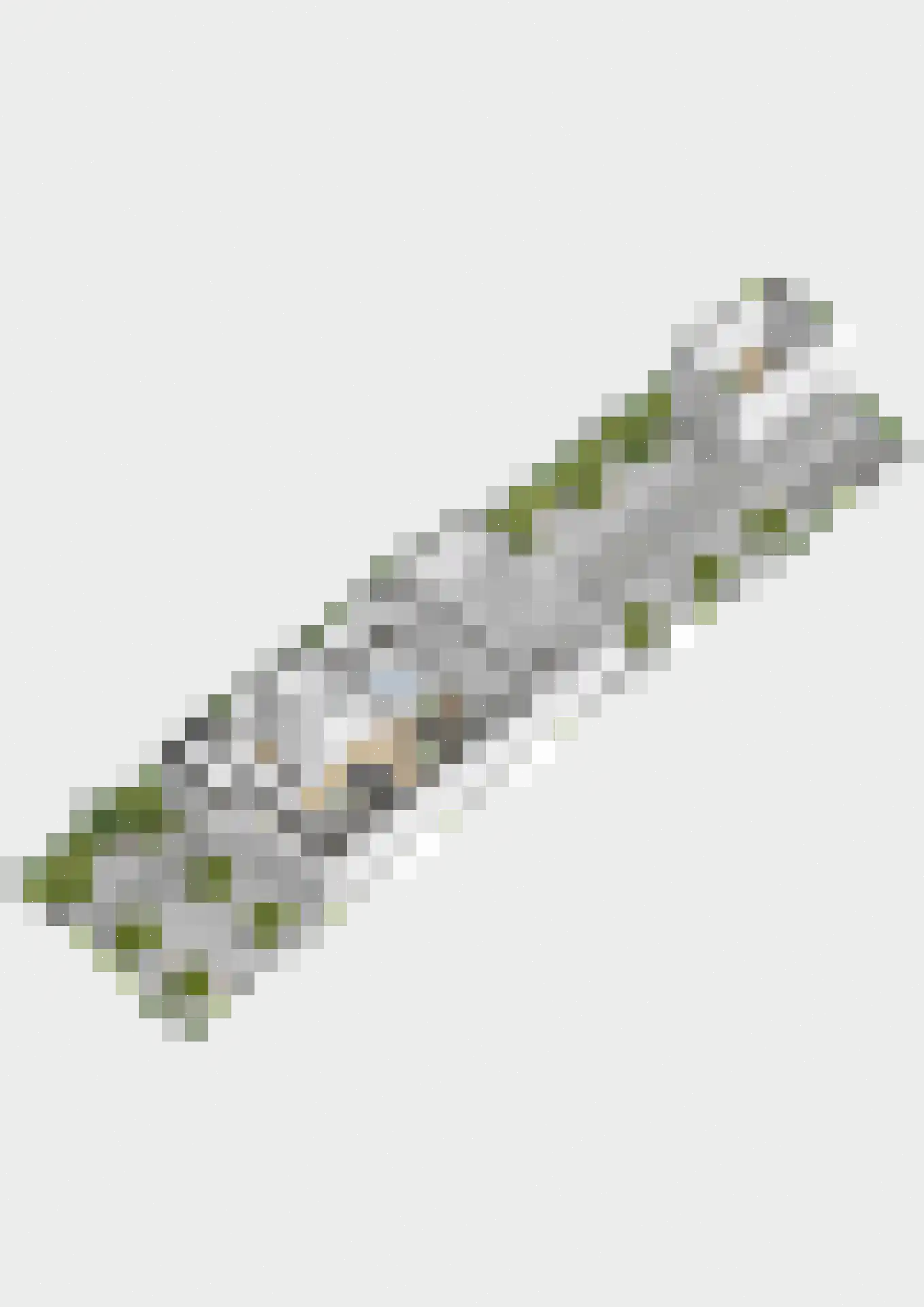 Hazeleger 12 Etten-Leur thumbnail 55