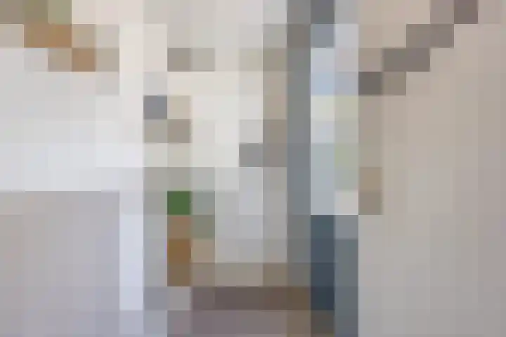 Hazeleger 136 Cuijk thumbnail 10