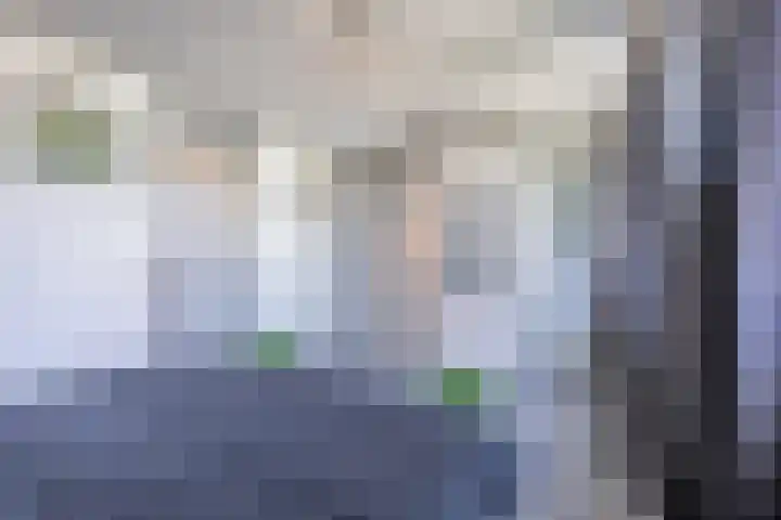 Hazeleger 136 Cuijk thumbnail 12