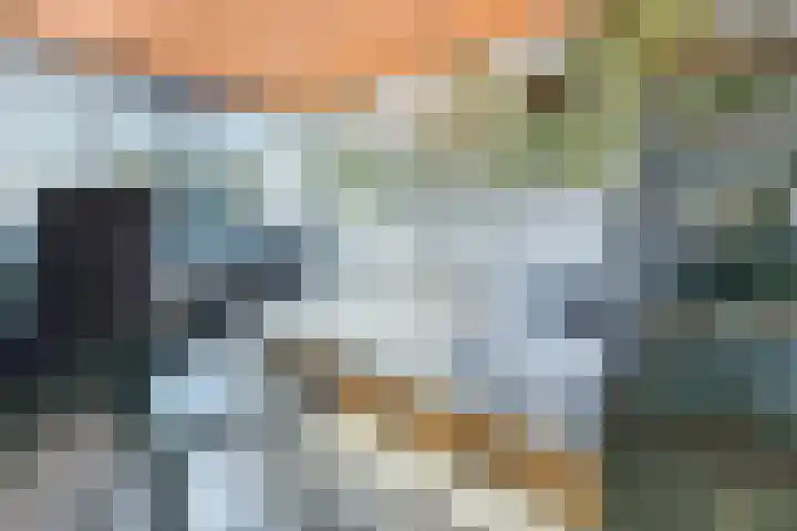 Hazeleger 136 Cuijk thumbnail 18