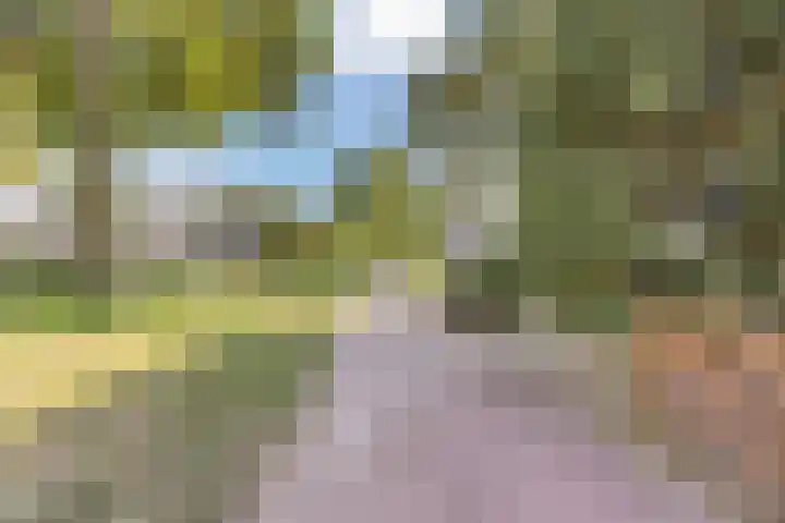 Hazeleger 136 Cuijk thumbnail 27