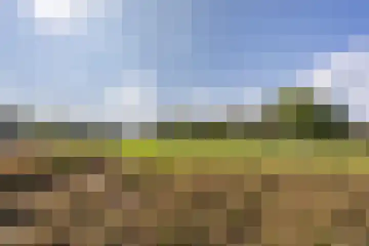 Hazeleger 136 Cuijk thumbnail 28
