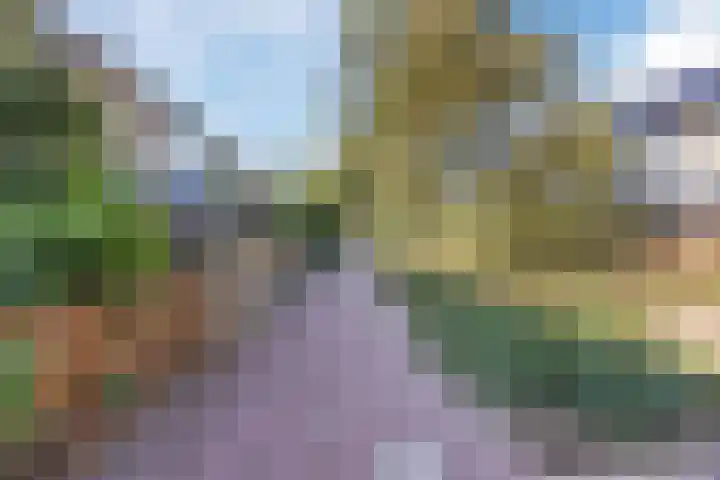 Hazeleger 136 Cuijk thumbnail 4