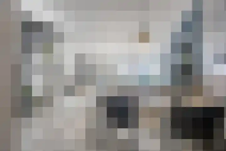 Hazeleger 136 Cuijk thumbnail 8