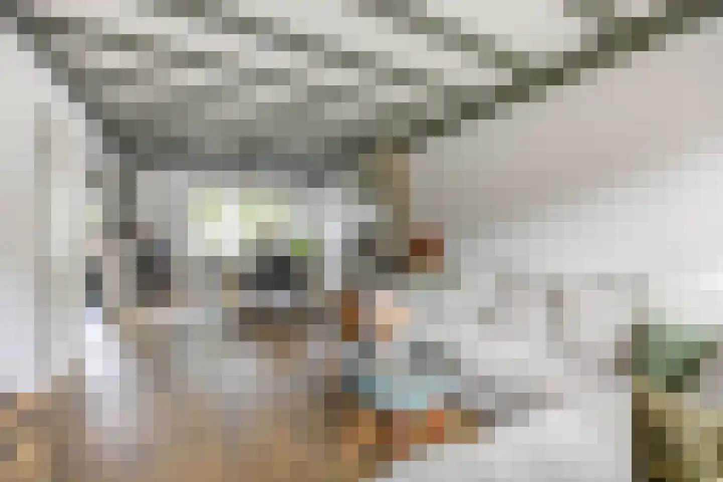 Hazeleger 14 Etten-Leur thumbnail 10