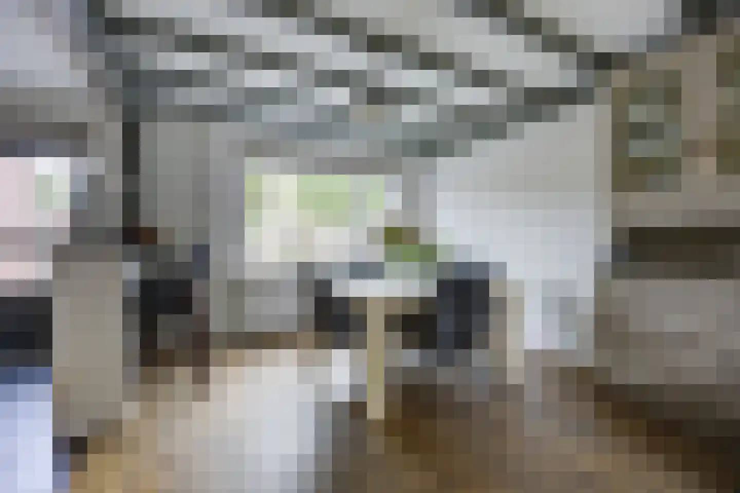 Hazeleger 14 Etten-Leur thumbnail 11