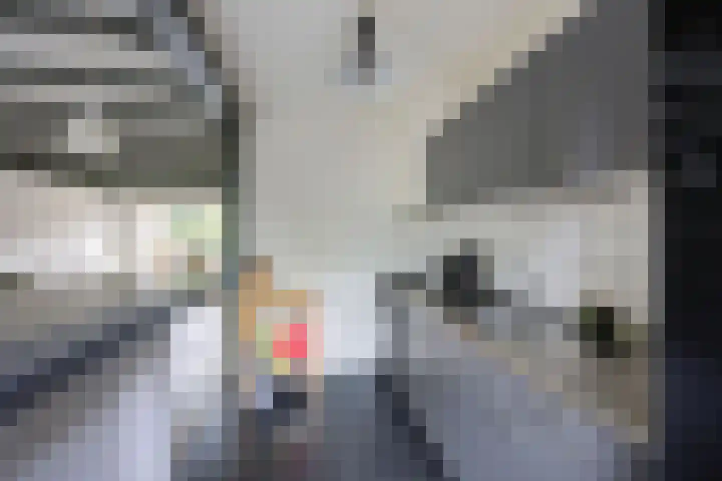 Hazeleger 14 Etten-Leur thumbnail 16