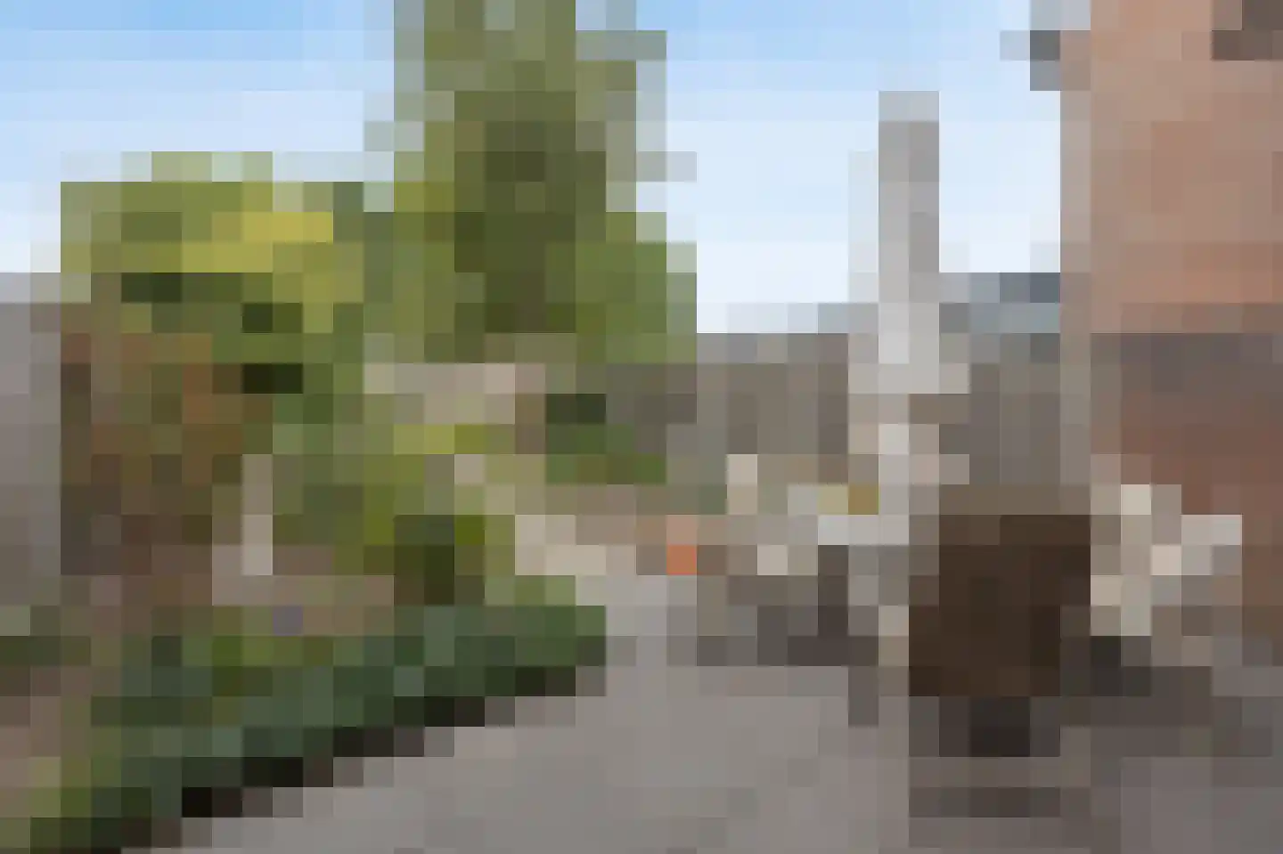 Hazeleger 14 Etten-Leur thumbnail 31