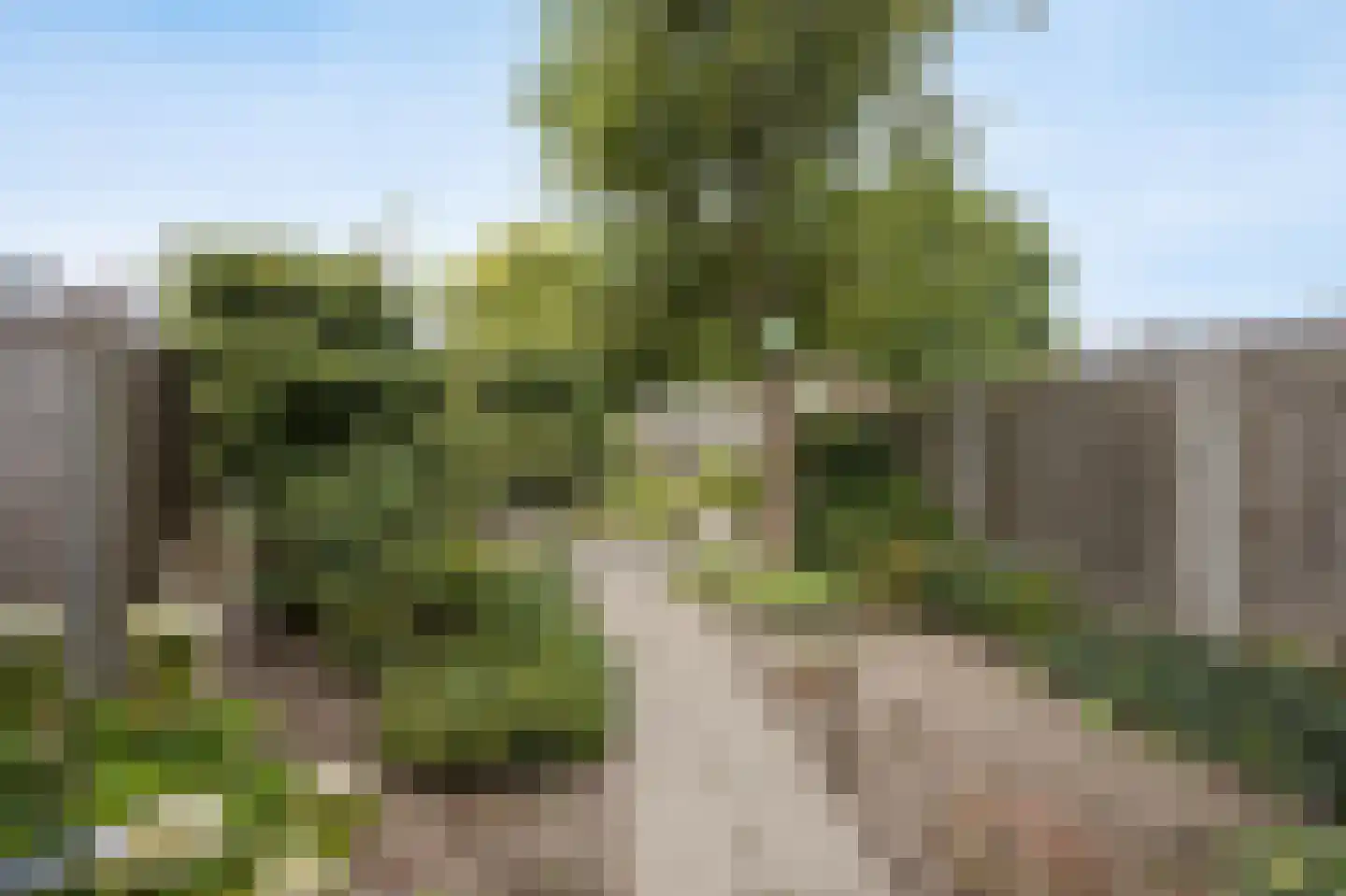 Hazeleger 14 Etten-Leur thumbnail 32