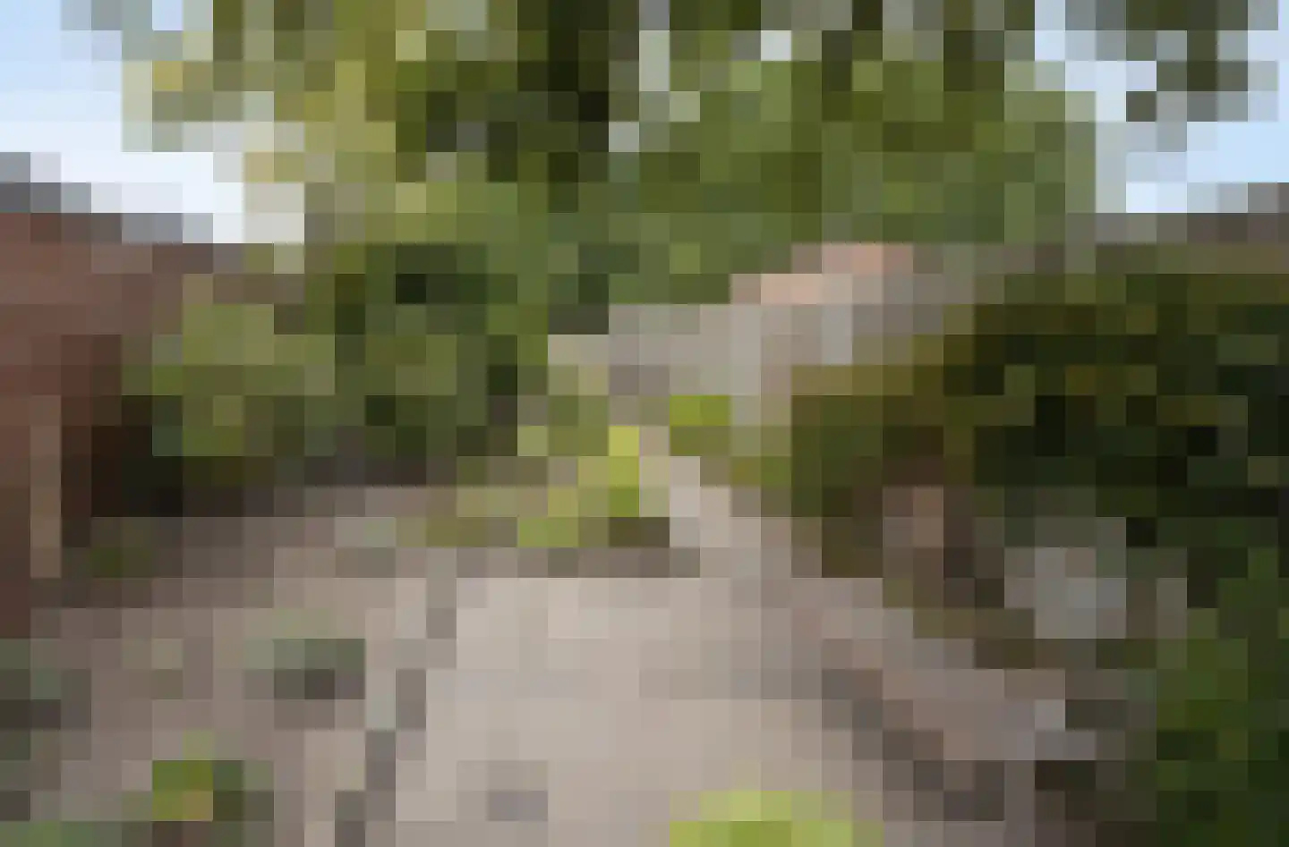 Hazeleger 14 Etten-Leur thumbnail 33