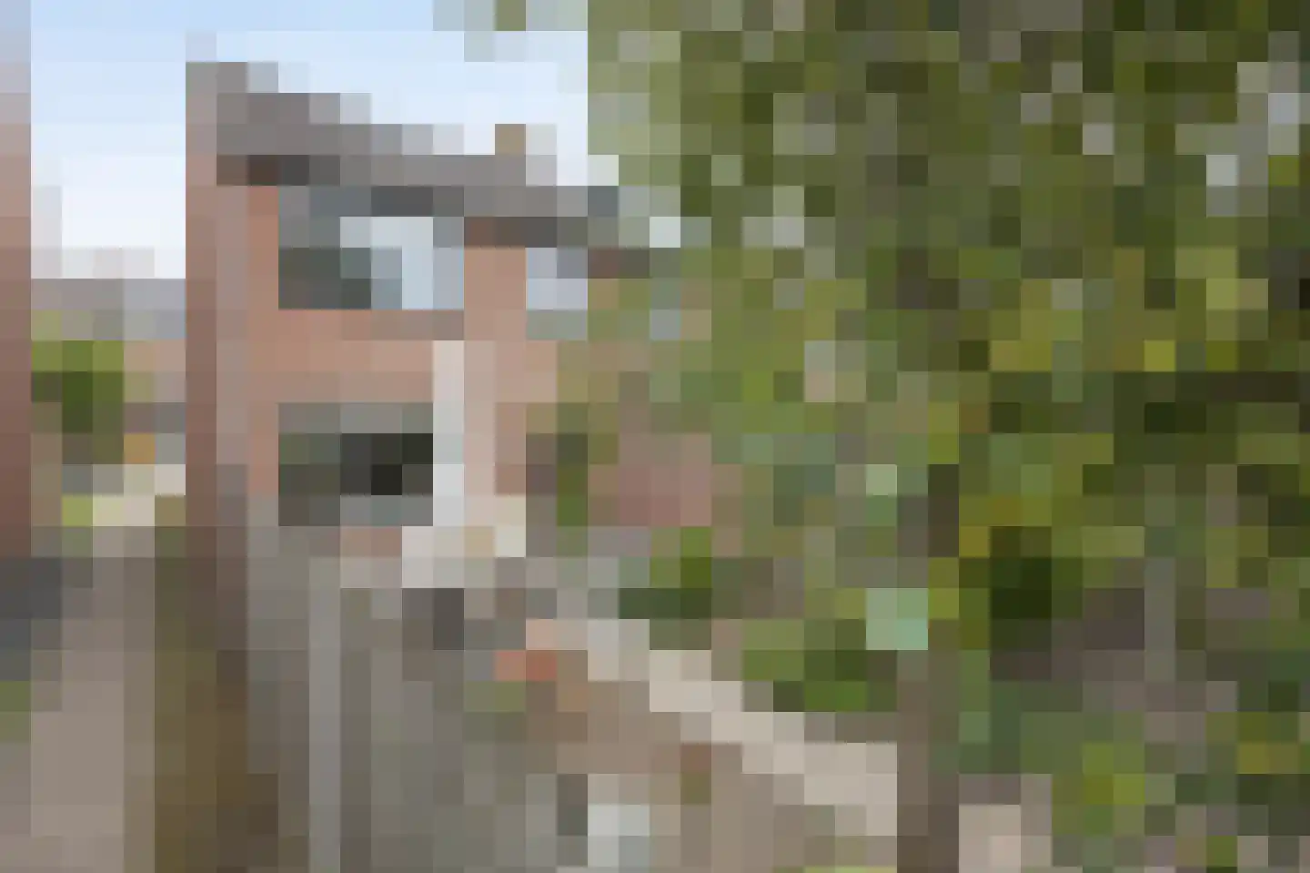 Hazeleger 14 Etten-Leur thumbnail 37