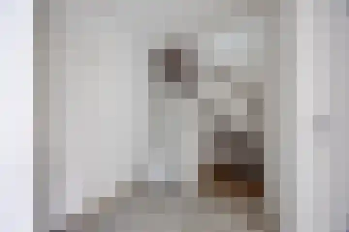 Hazeleger 188 Cuijk thumbnail 14