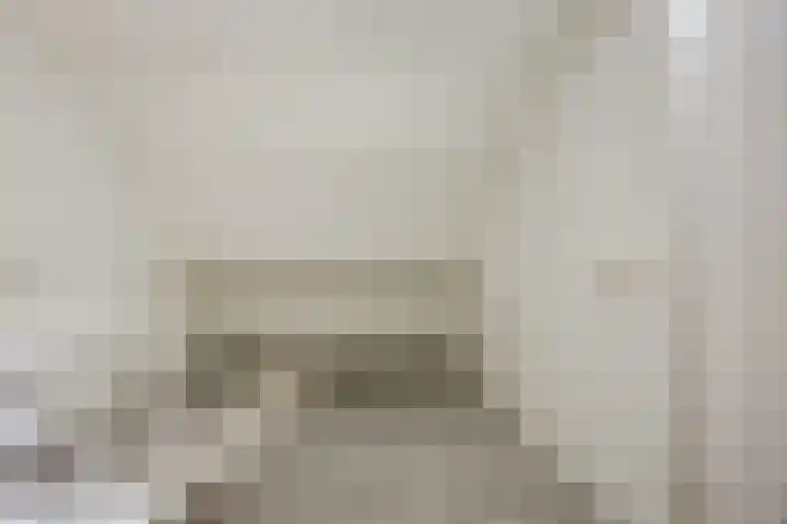 Hazeleger 188 Cuijk thumbnail 22