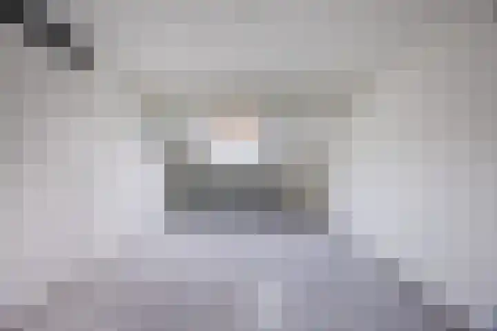 Hazeleger 188 Cuijk thumbnail 26
