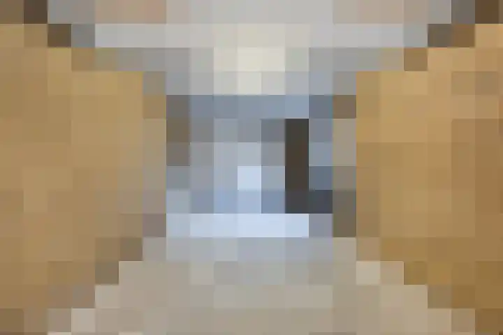 Hazeleger 188 Cuijk thumbnail 28