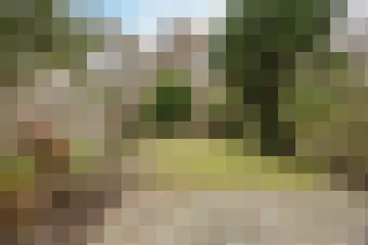 Hazeleger 188 Cuijk thumbnail 29