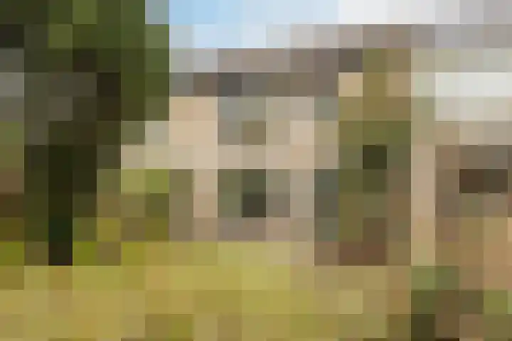 Hazeleger 188 Cuijk thumbnail 30