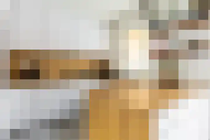 Hazeleger 19 Etten-Leur thumbnail 10