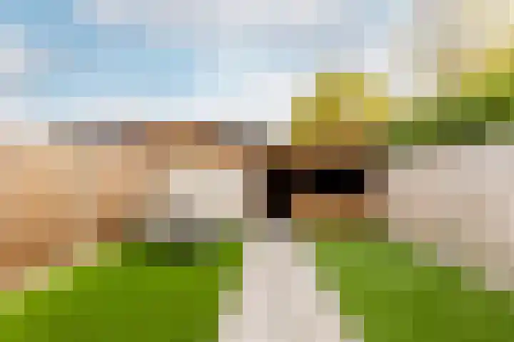 Hazeleger 19 Etten-Leur thumbnail 22