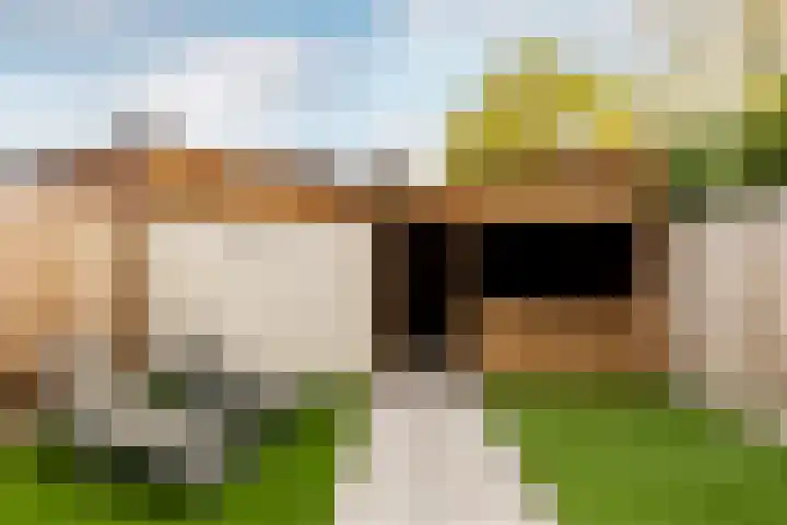 Hazeleger 19 Etten-Leur thumbnail 23