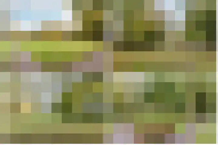 Hazeleger 19 Etten-Leur thumbnail 26