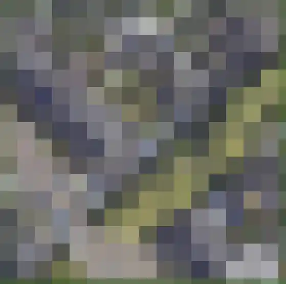 Hazeleger 19 Etten-Leur thumbnail 27