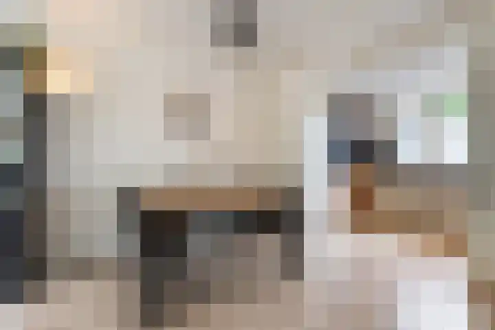 Hazeleger 193 Cuijk thumbnail 10