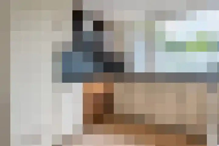 Hazeleger 193 Cuijk thumbnail 12