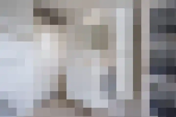 Hazeleger 193 Cuijk thumbnail 21