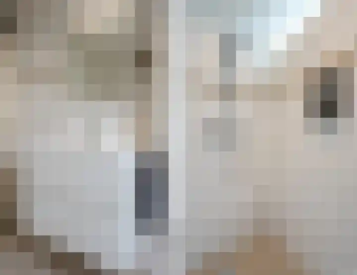 Hazeleger 193 Cuijk thumbnail 22