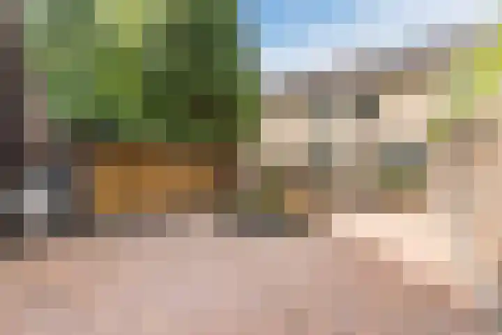 Hazeleger 193 Cuijk thumbnail 27