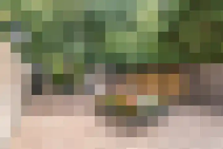 Hazeleger 193 Cuijk thumbnail 29