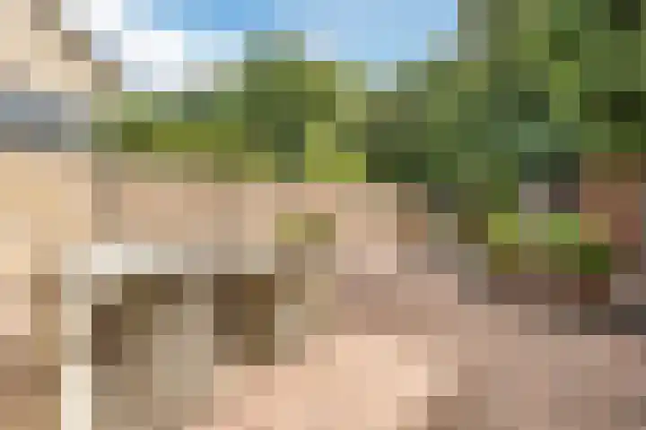 Hazeleger 193 Cuijk thumbnail 30