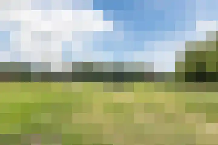 Hazeleger 193 Cuijk thumbnail 33