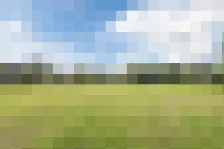 Hazeleger 193 Cuijk thumbnail 34