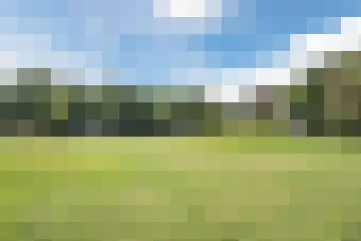 Hazeleger 193 Cuijk thumbnail 35