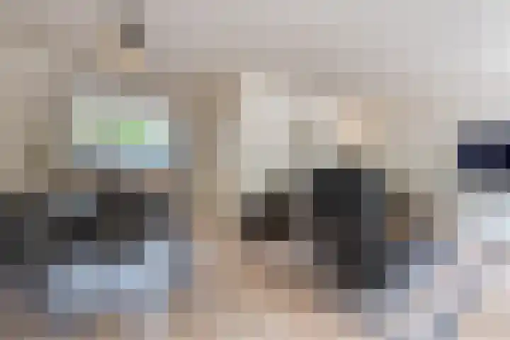 Hazeleger 193 Cuijk thumbnail 8