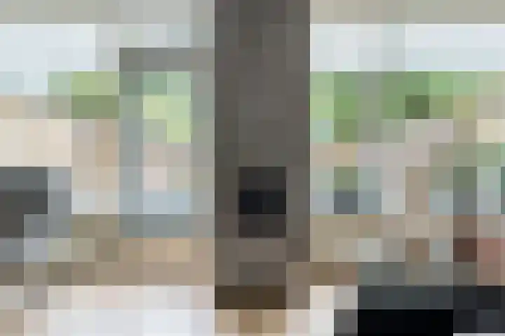 Hazeleger 193 Cuijk thumbnail 9