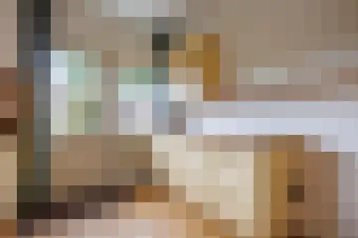 Hazeleger 26 Amerongen thumbnail 9
